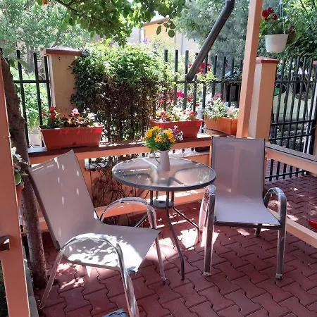 Vila Max Guest house *